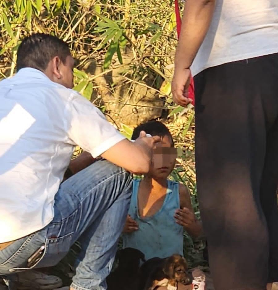 Menor de 5 años huye de casa con sus perritos tras sufrir maltrato; DIF de Paso del Macho&nbsp;interviene