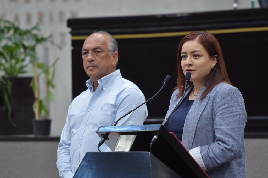 Exhorta diputada a que se amplíe atención médica en hospitales de Papantla y&nbsp;Espinal