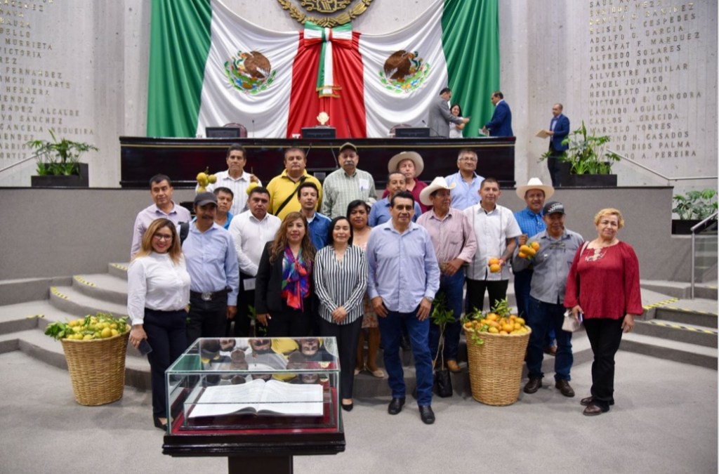 Crea Congreso Comisión Especial que atenderá temas de&nbsp;citricultura