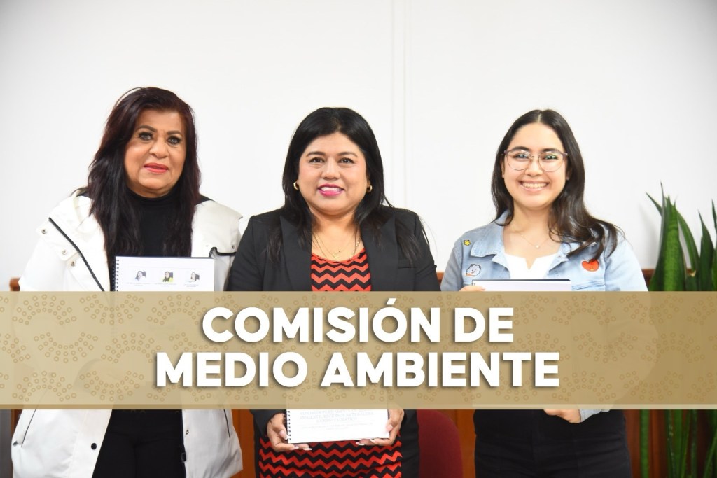 Abierta, convocatoria para otorgar el premio al Mérito Ambiental&nbsp;2025