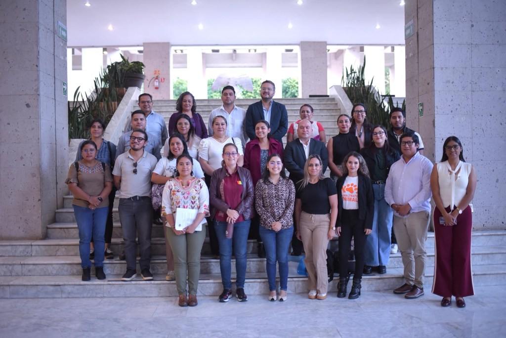 Legisladoras convocan a mesa de trabajo en materia de bienestar&nbsp;animal