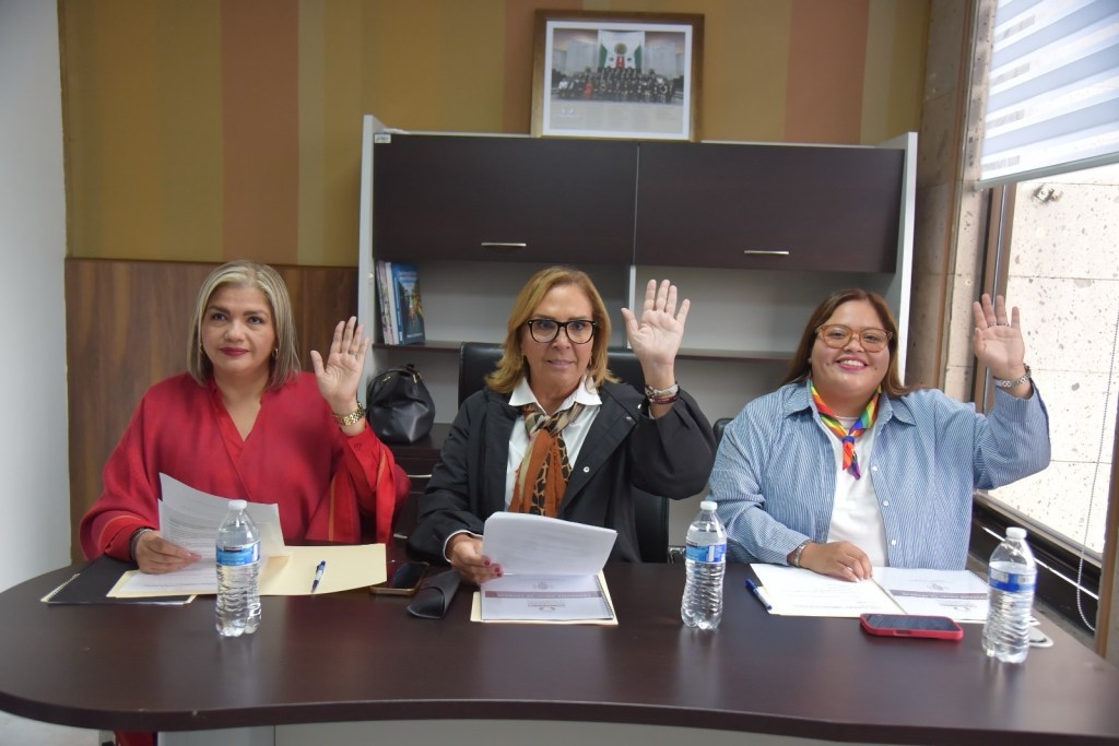 Aprueba Comisión de Periodistas programa de trabajo para segundo&nbsp;año