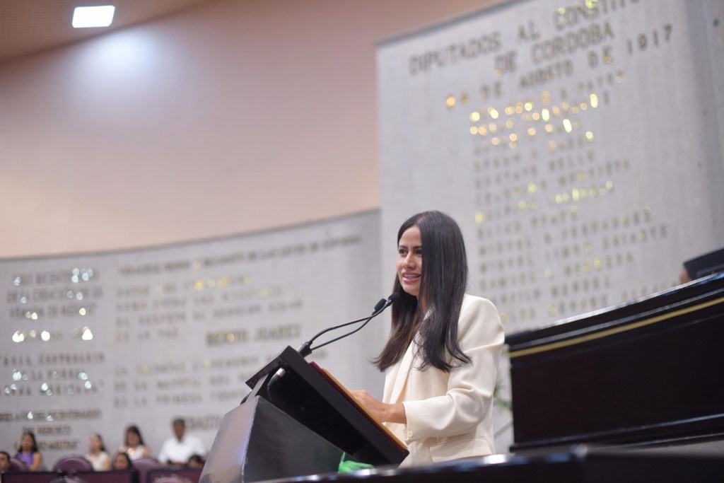 Pide diputada solución a constantes apagones en la zona Veracruz-Boca del&nbsp;Río