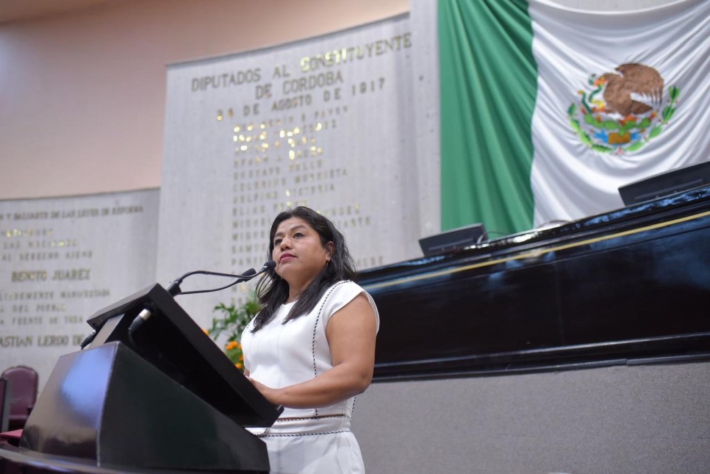 Ante desastres naturales, unidad, empatía y cooperación, llama&nbsp;diputada