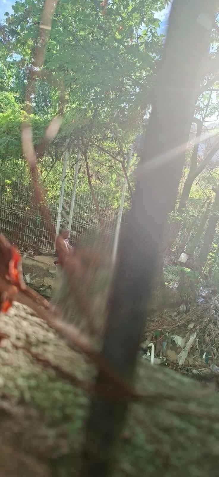 🚨&nbsp;Detienen a hombre en Salina Cruz por presunto maltrato y abuso contra un&nbsp;animal