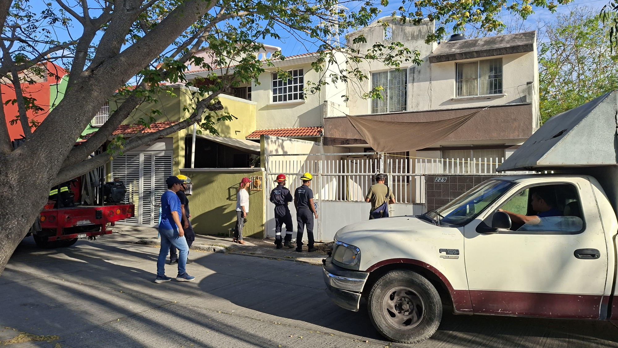 Atiende Ayuntamiento de Veracruz reporte de canino atacado por abejas