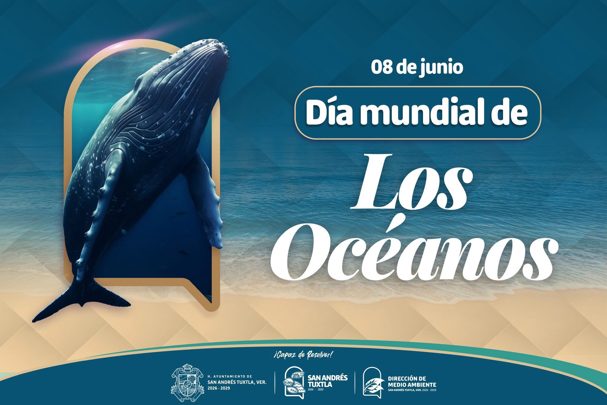 MedioAmbiente | Hoy conmemoramos el Día Mundial de los Océanos, una fecha para reflexionar sobre la importancia de conservar y proteger estos ecosistemas fundamentales para la vida en el planeta.